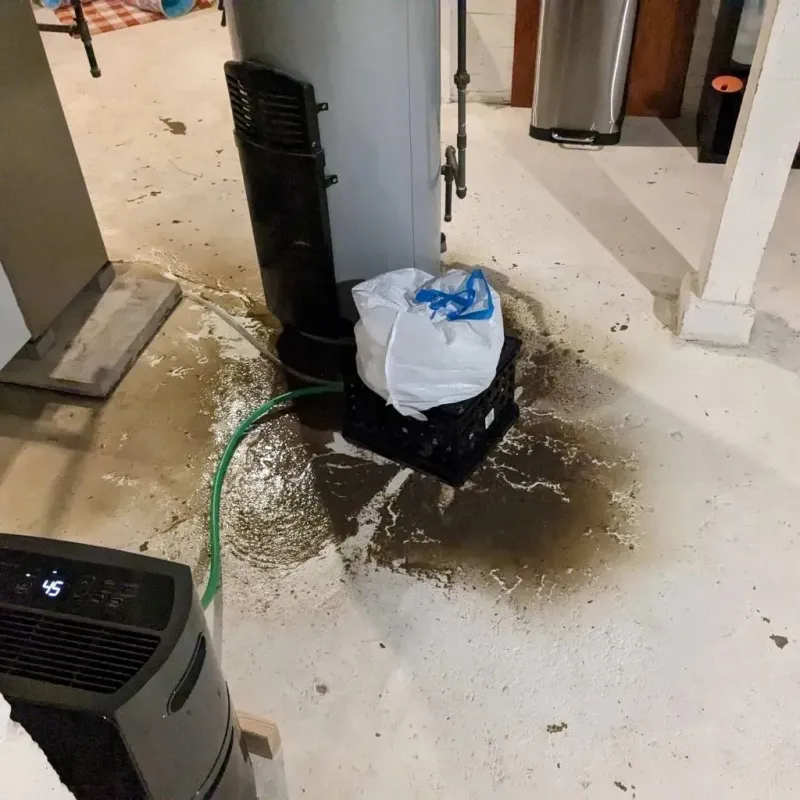 Sewage Backup Cleanup Service in Salt Lake County, UT